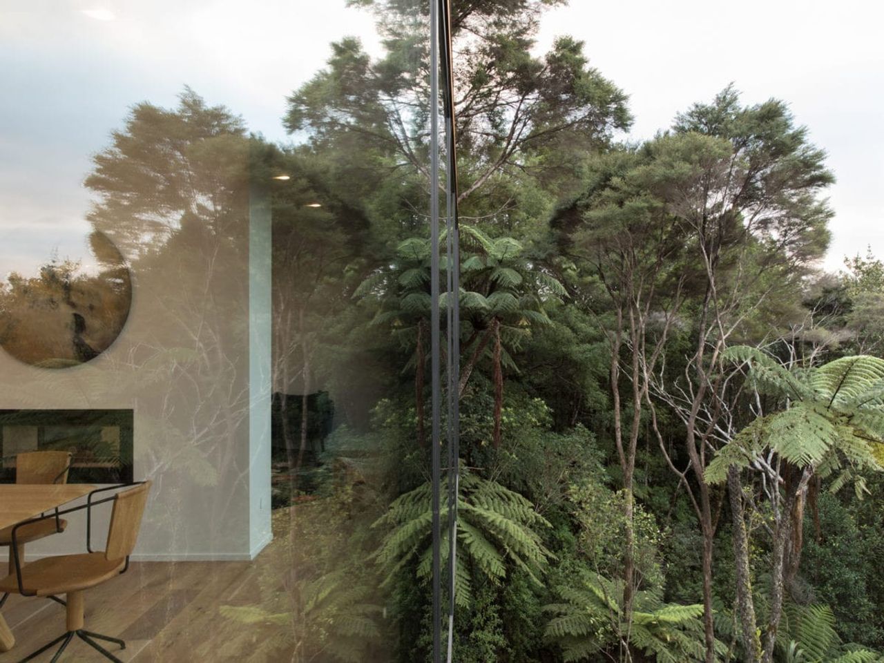 Seamless indoor-outdoor connection at Tree Tops House, reflecting lush bushland through large glass windows.