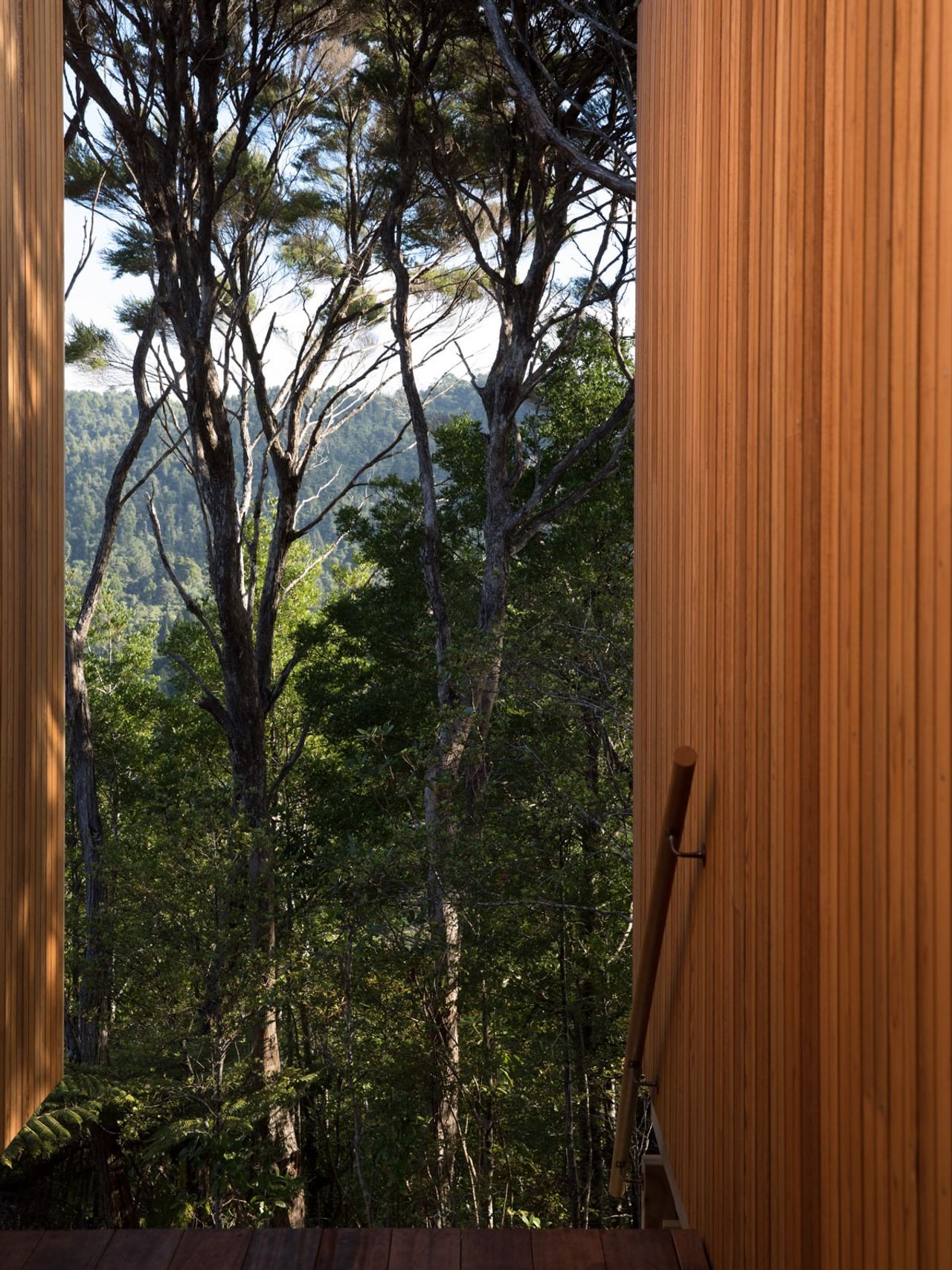 View of bushland framed by vertical timber cladding at Tree Tops House, a contemporary bush-side residence.