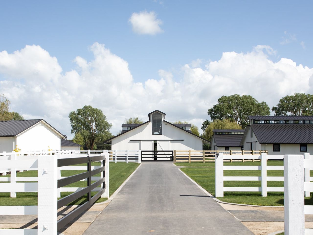 Entrance pathway leading to the Stallion Barn at Cambridge Stud Farm, surrounded by white fencing and lush green pastures. The design features modern equine architecture with black roofs, white facades, and ample space, reflecting a balance of functionality and aesthetic elegance for horse care.