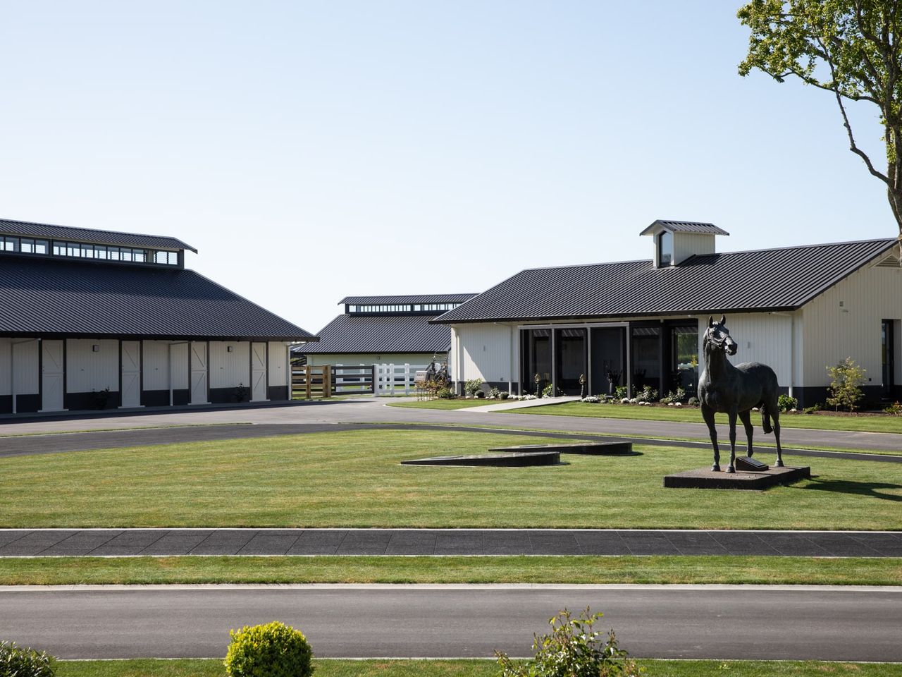 Courtyard view of Cambridge Stud Farm featuring modern equine architecture with black-roofed stables and a striking horse statue centerpiece. The design combines functionality with elegance, surrounded by manicured lawns and pathways, showcasing excellence in equine-focused facility design.
