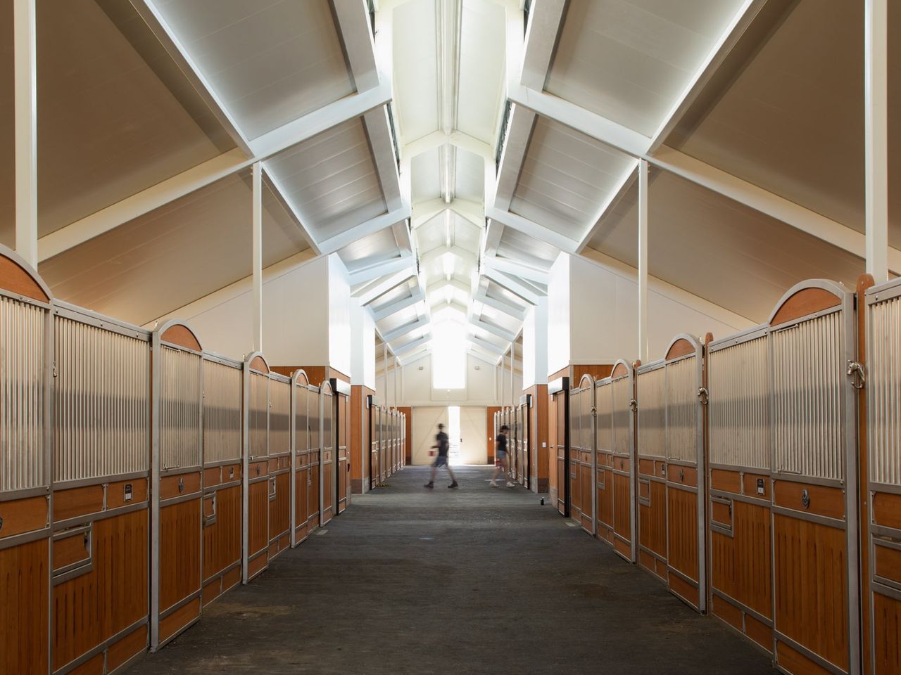 Interior of the Cambridge Stud Farm Stables showcasing modern equine architecture with high ceilings and natural light. The design features elegant wooden and metal stable doors, providing a functional and aesthetic space for horse care. A prime example of architectural expertise in equine facility design.